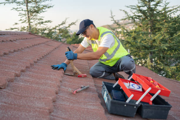 Best Roof Restoration Services  in Allegan, MI