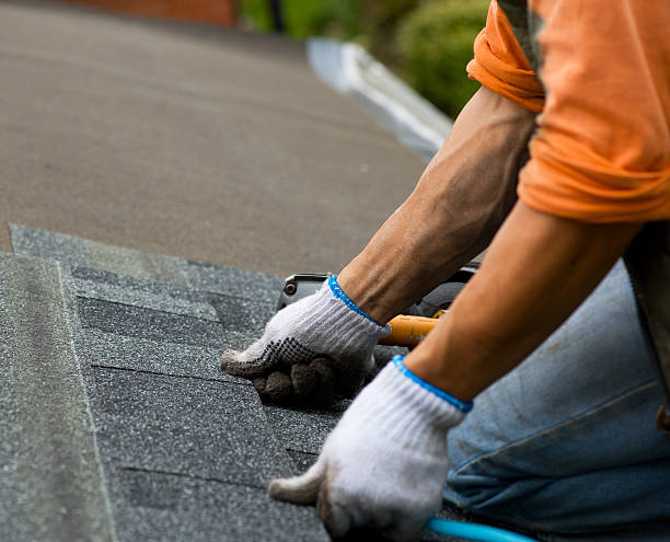 Best Flat Roof Repair Services  in Allegan, MI
