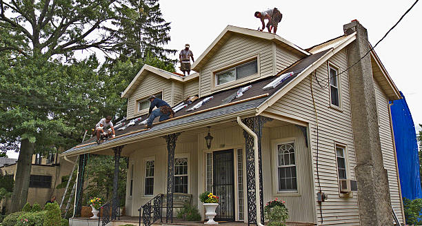 Best Residential Roofing Contractor  in Allegan, MI