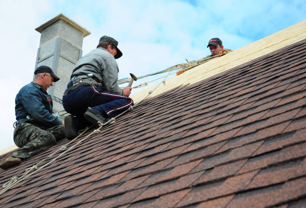 Best Roof Leak Repair  in Allegan, MI